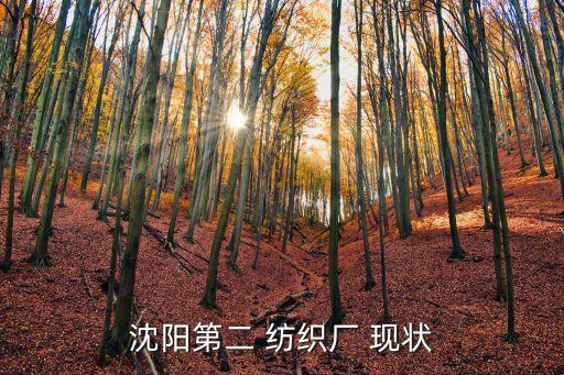 漢川市馬口鎮(zhèn)紡織廠現(xiàn)狀,湖北省漢川市馬口鎮(zhèn)有哪紡織廠