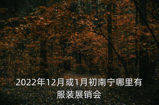 2022年12月或1月初南寧哪里有服裝展銷會