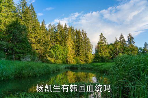 楊凱生有韓國血統(tǒng)嗎
