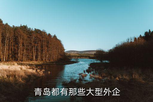  青島都有那些大型外企