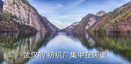 武漢的 紡織廠集中在哪里