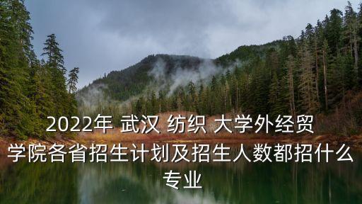 2022年 武漢 紡織 大學(xué)外經(jīng)貿(mào)學(xué)院各省招生計劃及招生人數(shù)都招什么 專業(yè)