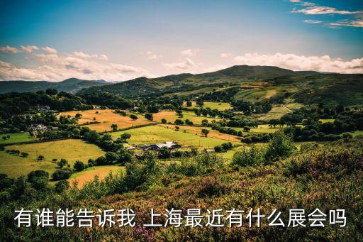 有誰能告訴我 上海最近有什么展會嗎
