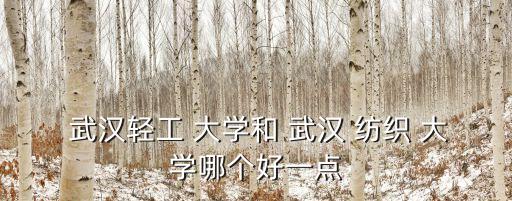  武漢輕工 大學和 武漢 紡織 大學哪個好一點