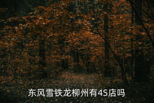 東風雪鐵龍柳州有4S店嗎