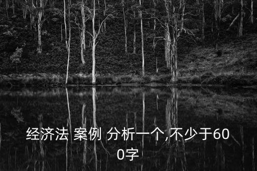 經(jīng)濟(jì)法 案例 分析一個(gè),不少于600字