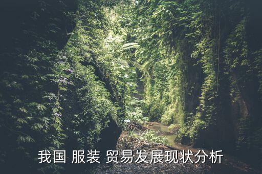 我國(guó) 服裝 貿(mào)易發(fā)展現(xiàn)狀分析