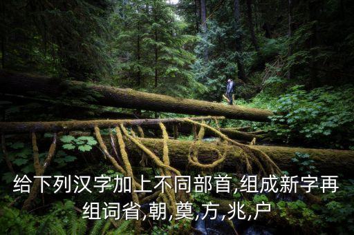 朝歌紡織