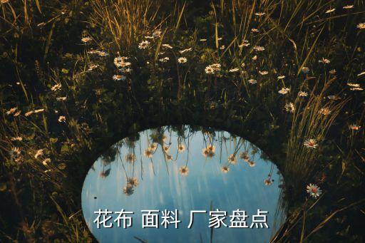國內生產(chǎn)液氨潮交聯(lián)面料的廠家
