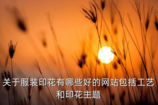 關(guān)于服裝印花有哪些好的網(wǎng)站包括工藝和印花主題