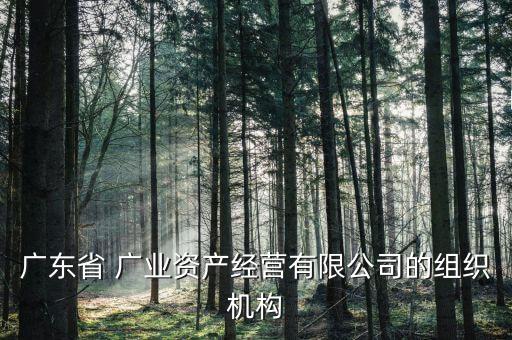 廣東省 廣業(yè)資產(chǎn)經(jīng)營(yíng)有限公司的組織機(jī)構(gòu)