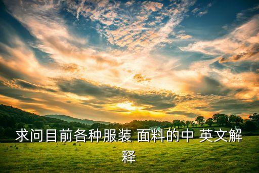 求問目前各種服裝 面料的中 英文解釋