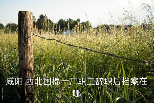 咸陽 西北國棉一廠職工辭職后檔案在哪