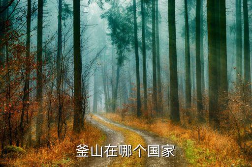 韓國最大的紡織城市,首爾是韓國最大的城市嗎