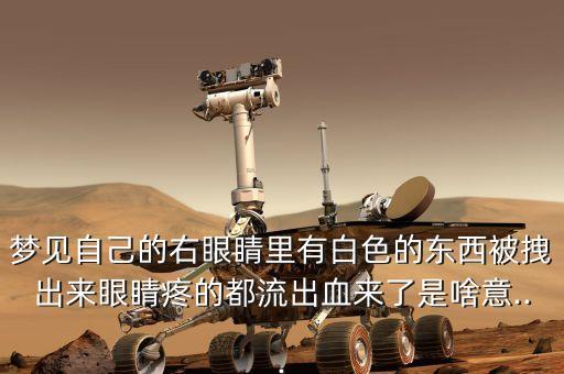 夢見自己的右眼睛里有白色的東西被拽出來眼睛疼的都流出血來了是啥意...
