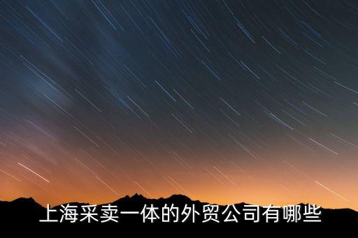  上海采賣一體的外貿(mào)公司有哪些