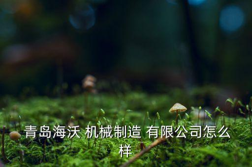  青島海沃 機械制造 有限公司怎么樣