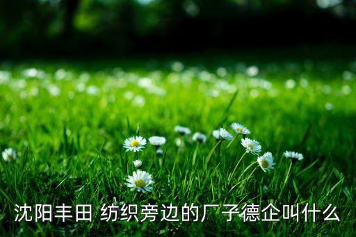 沈陽(yáng)豐田 紡織旁邊的廠子德企叫什么