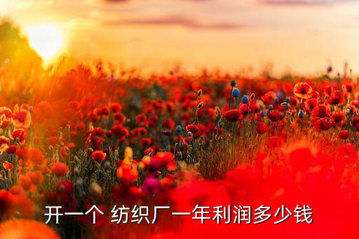 紡織企業(yè)財(cái)務(wù)介紹,企業(yè)財(cái)務(wù)基本情況介紹