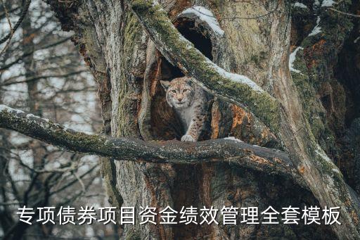 專項債券項目資金績效管理全套模板