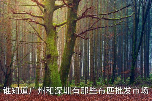 誰知道廣州和深圳有那些布匹批發(fā)市場