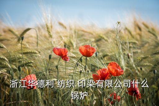 浙江華德利 紡織 印染有限公司什么鍋爐