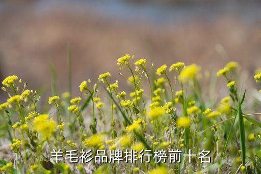 羊毛衫品牌排行榜前十名