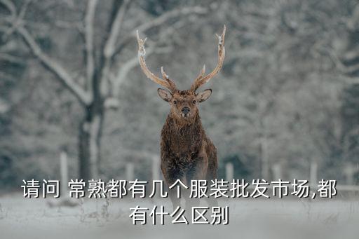 請(qǐng)問 常熟都有幾個(gè)服裝批發(fā)市場(chǎng),都有什么區(qū)別