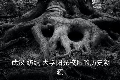  武漢 紡織 大學(xué)陽光校區(qū)的歷史溯源