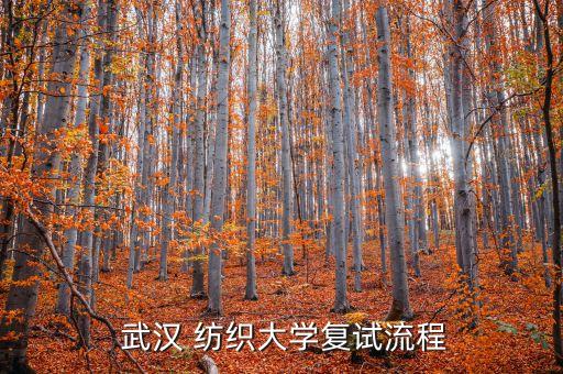 武漢紡織大學(xué)材料學(xué)院招聘會