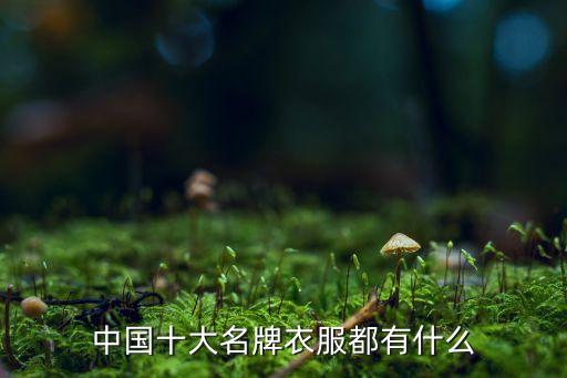 2016年紡織服裝500強(qiáng)