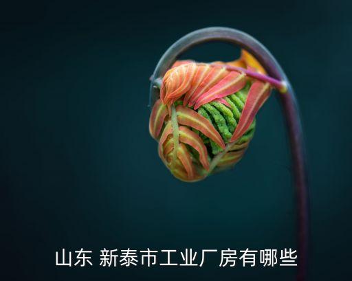 新泰平陽紡織