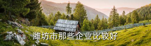 桐鄉(xiāng)市利源紡織有限公司