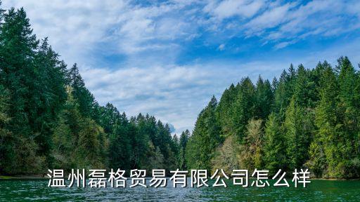 溫州磊格貿(mào)易有限公司怎么樣
