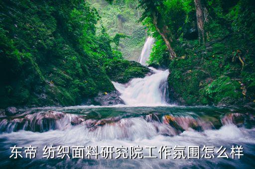 東帝 紡織面料研究院工作氛圍怎么樣