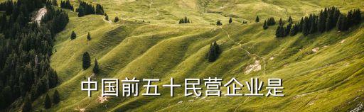 中國(guó)前五十民營(yíng)企業(yè)是