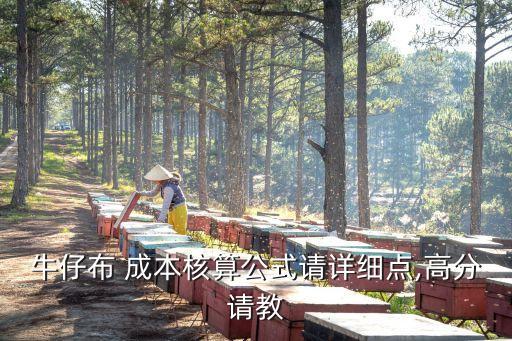 牛仔布 成本核算公式請詳細點,高分請教