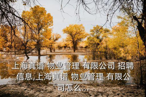上海真譜 物業(yè)管理 有限公司 招聘 信息,上海真譜 物業(yè)管理 有限公司怎么...