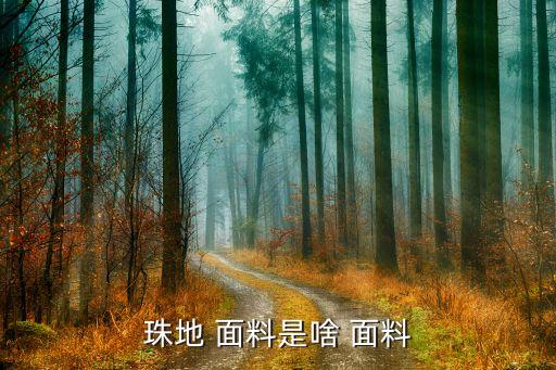 珠地 面料是啥 面料