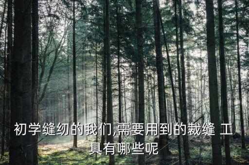 初學縫紉的我們,需要用到的裁縫 工具有哪些呢