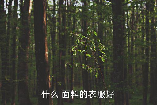 什么 面料的衣服好