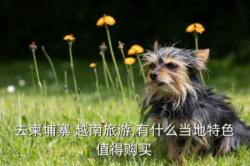 去柬埔寨 越南旅游,有什么當(dāng)?shù)靥厣档觅徺I