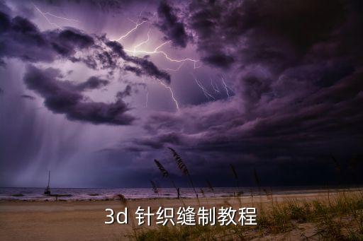 3d 針織縫制教程
