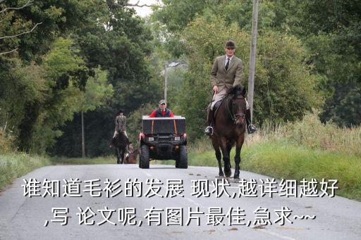 美國(guó)紡織品現(xiàn)狀論文,廢舊服用紡織品的現(xiàn)狀及處理論文