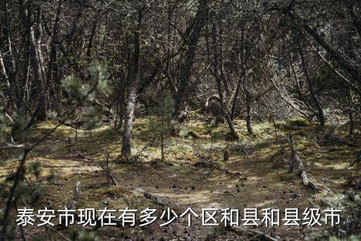 泰安市現(xiàn)在有多少個區(qū)和縣和縣級市