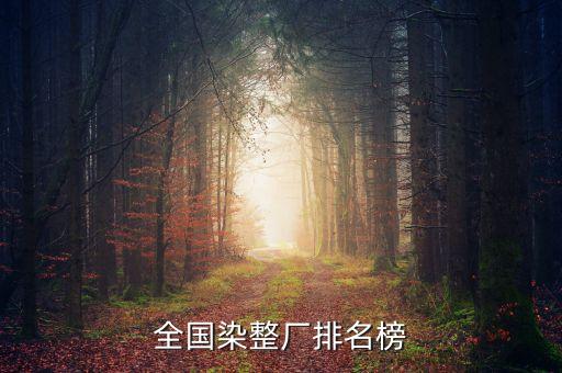 全國染整廠排名榜