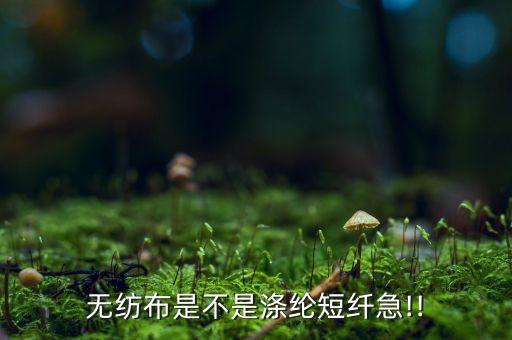 無(wú)紡布是不是滌綸短纖急!!