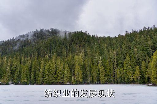  紡織業(yè)的發(fā)展現(xiàn)狀