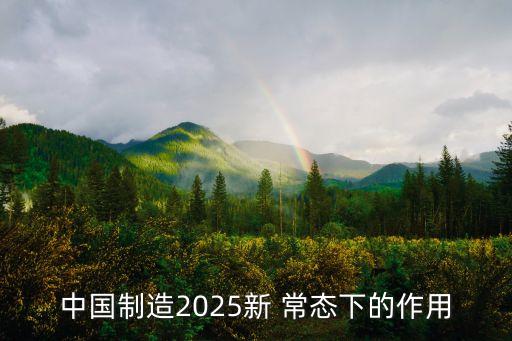 中國制造2025新 常態(tài)下的作用