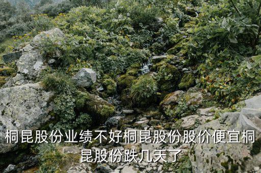 桐昆股份業(yè)績不好桐昆股份股價便宜桐昆股份跌幾天了